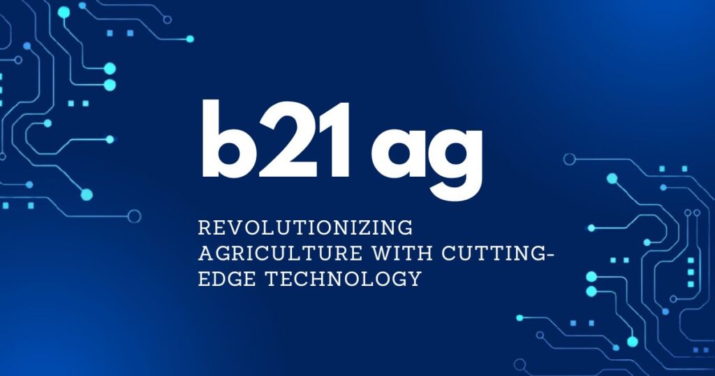 All About B21 AG